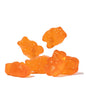 Albanese - 1 Pound Bag - Classic Gummi Flavors - Wholesale