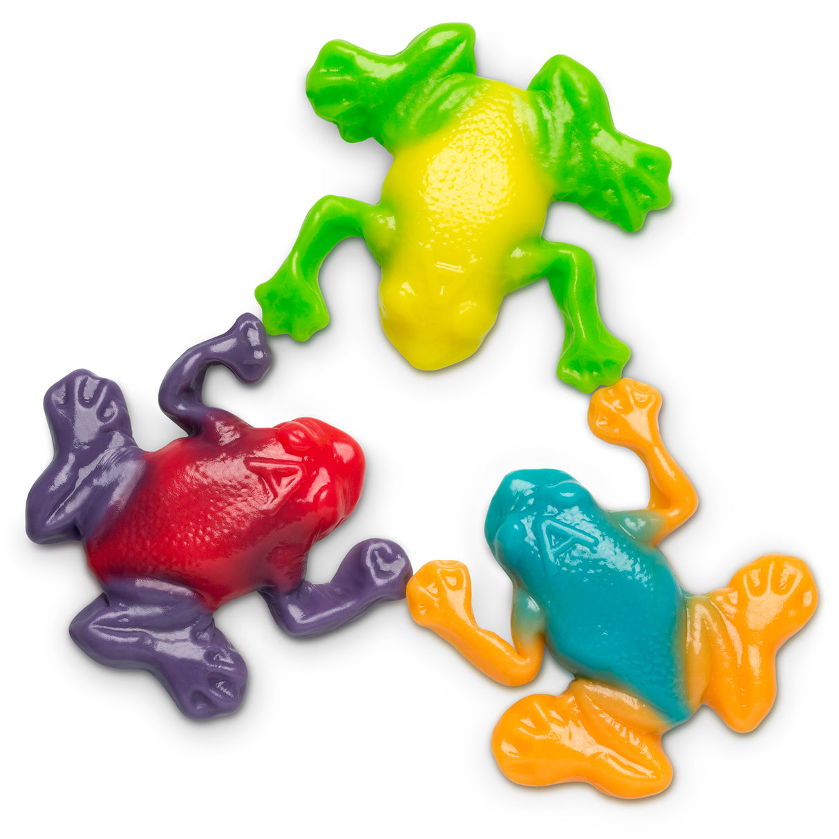 Rainforest Frogs