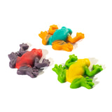 Rainforest Frogs